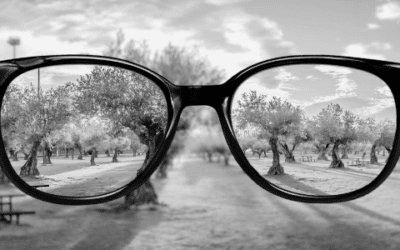Vision and Persistence
